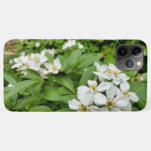 チョイシャテルナタ Case-Mate iPhoneケース (裏面(横))