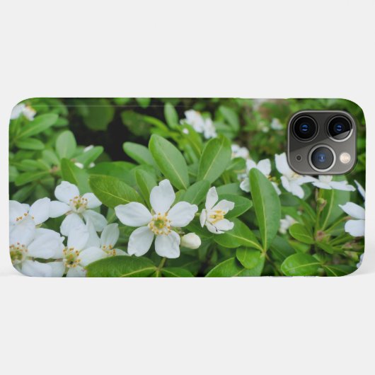 チョイシャテルナタ Case-Mate iPhoneケース (裏面(横))