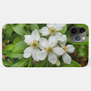 チョイシャテルナタ iPhone 11 PRO MAXケース
