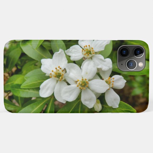 チョイシャテルナタ Case-Mate iPhoneケース (裏面(横))