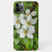 チョイシャテルナタ Case-Mate iPhoneケース (裏面)