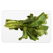 チョイ・サム・フォト・マグネット マグネット (横)