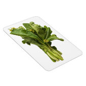 チョイ・サム・フォト・マグネット マグネット (右側)