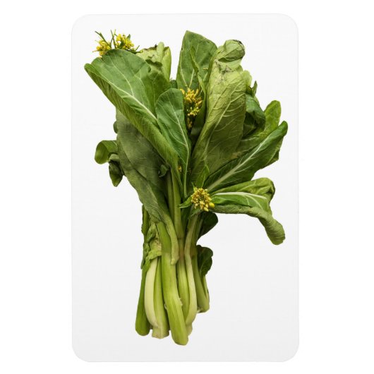 チョイ・サム・フォト・マグネット マグネット (縦)