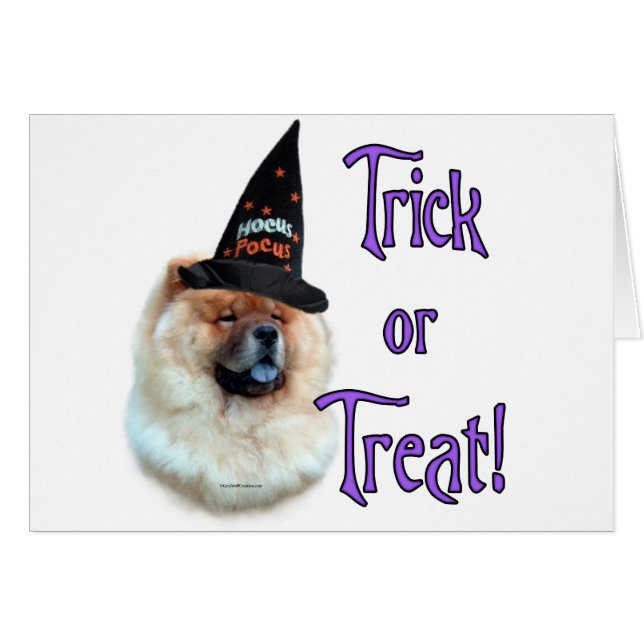 チョウのトリック (正面横)