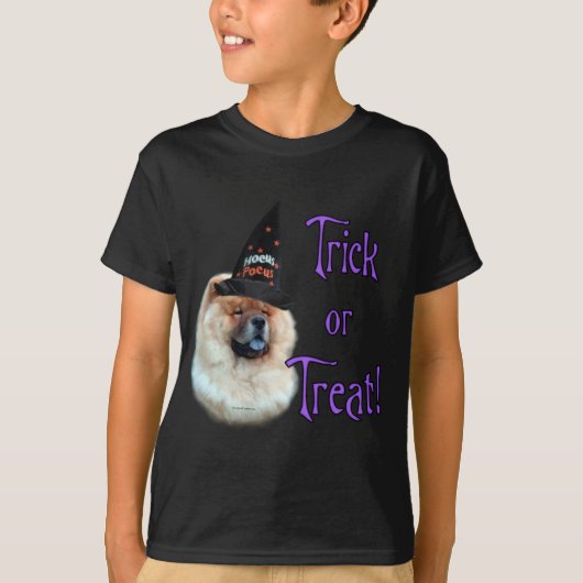 チョウのトリック Tシャツ (正面)