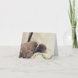 チョウの子犬は鏡で自分自身を見る サンキューカード