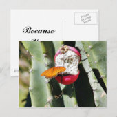 チョウウオ ポストカード (正面/裏面)