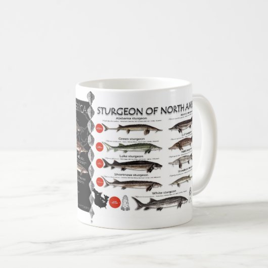 チョウザメのRedListの北アメリカのマグ コーヒーマグカップ (正面右)