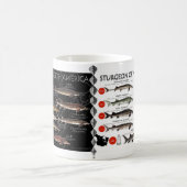 チョウザメのRedListの北アメリカのマグ コーヒーマグカップ (中央)