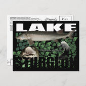 チョウザメ湖 – コラージュ葉書 ポストカード (正面/裏面)