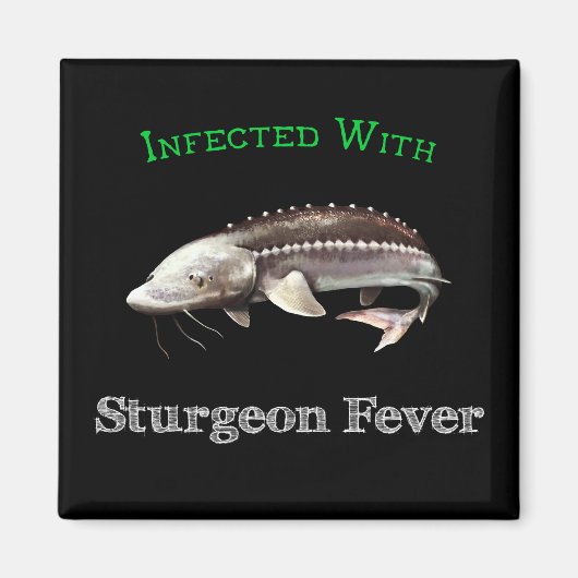 チョウザメ熱に感染する マグネット (正面)