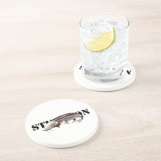 チョウザメ コースター (側面)