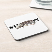 チョウザメ コースター (左側)