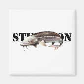 チョウザメ マグネット (正面)