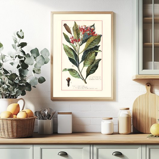 チョウジ - 古典的な植物画 ポスター