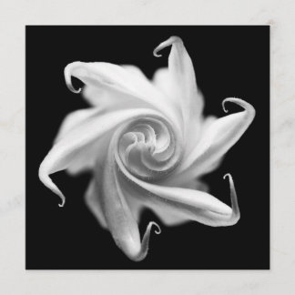 チョウセンアサガオ属のつぼみの招待 招待状