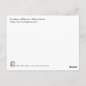 チョウセンアサガオ ポストカード (裏面)