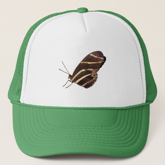 チョウチョウ キャップ (正面)