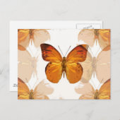 チョウバエ ポストカード (正面/裏面)