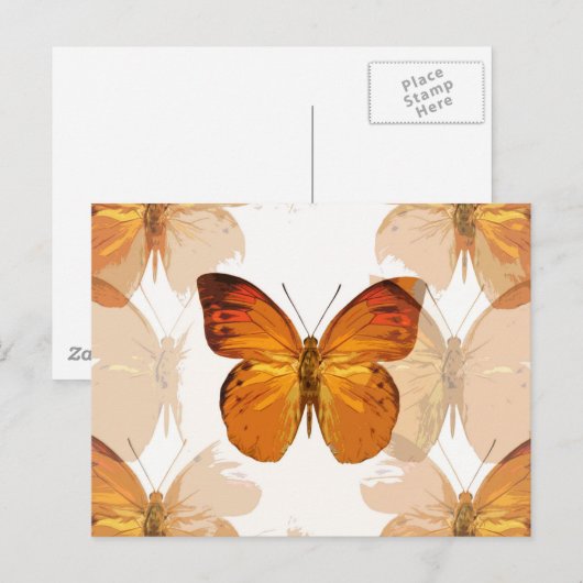 チョウバエ ポストカード (正面/裏面)