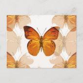 チョウバエ ポストカード (正面)