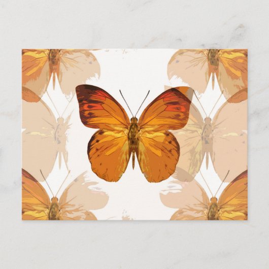 チョウバエ ポストカード (正面)