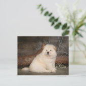 チョウ子犬あいさつ空白の文カード ポストカード (スタンド正面)