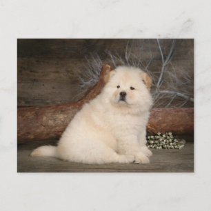 チョウ子犬あいさつ空白の文カード ポストカード