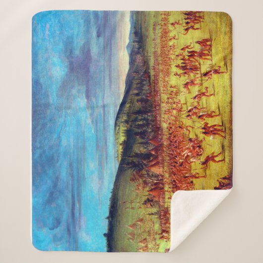 チョクタウ遊ボールのジョージ・キャトリン・ボール シェルパブランケット (正面)