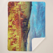 チョクタウ遊ボールのジョージ・キャトリン・ボール シェルパブランケット (正面)