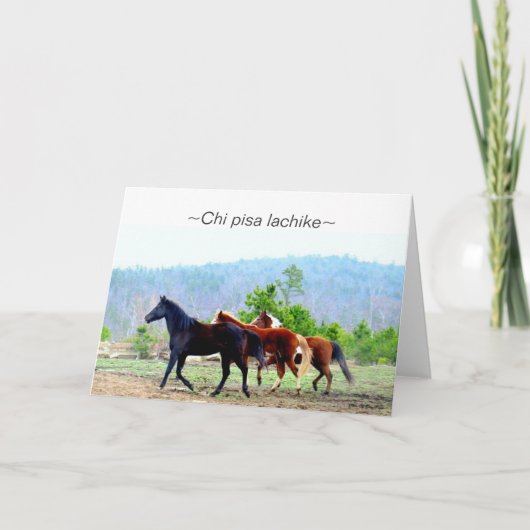 チョクトー族の挨拶状(キーのピサのlachike) カード (正面)