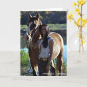 チョクトー族の挨拶状(Halito) カード (黄色い花)