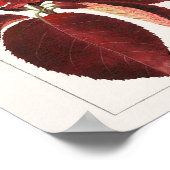 チョケシェリ葉ーズ(プルーヌスバージニアナ絵画) ポスター (角)