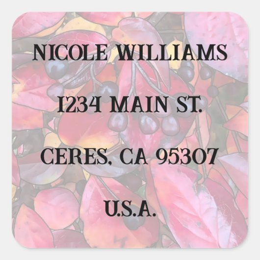 チョケチェリー住所 シール – エンベロープシール (正面)