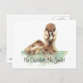 チョコおもしろいー無し、スマイル無し怒、アヒル、バードー ポストカード (正面/裏面)