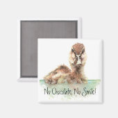 チョコおもしろいー無し、スマイル無し怒、アヒル、バードー マグネット (正面/裏面)