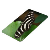 チョコかわいらしンフレキシ磁石 マグネット (左側)