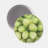 チョコセシオーガニックウム結節の背景 マグネット (正面/裏面)