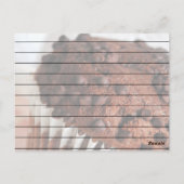 チョコチップマフィンレシピカード ポストカード (裏面)