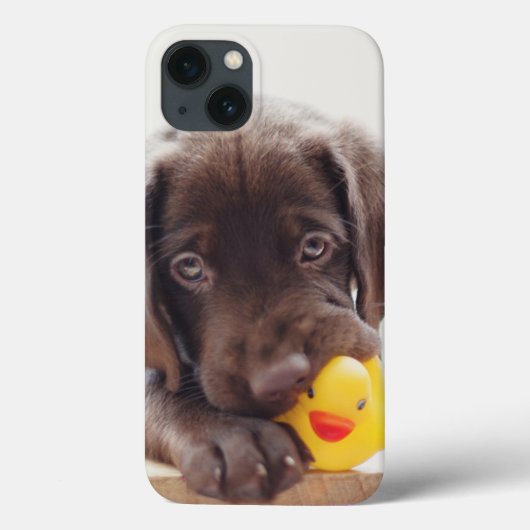 チョコラブラドールの子犬 Case-Mate iPhoneケース (裏面)