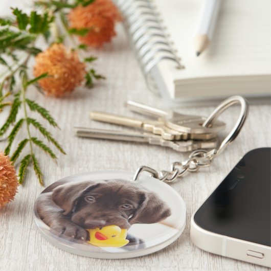 チョコラブラドールダック付き子犬 キーホルダー (正面右)