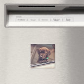 チョコラブラドール子犬インカー マグネット (インサイチュ (食洗機))