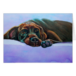 チョコリラックスラボ犬