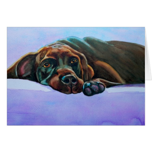 チョコリラックスラボ犬 (正面横)