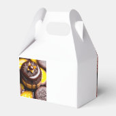 チョコレートとキャラメルをテーマにしたビーフボックス フェイバーボックス (裏面サイド)