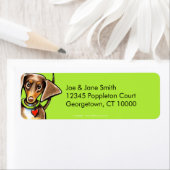 チョコレートとタンのダックスシュント ラベル (インサイチュ)