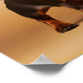 チョコレートとタンダシュント犬 ポスター (角)