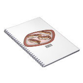 チョコレートのeclair漫画イラストレーション ノートブック (右側)