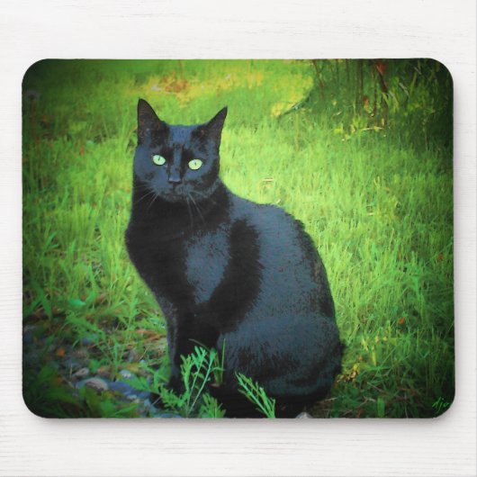 チョコレートは来られた演劇を言います マウスパッド (正面)